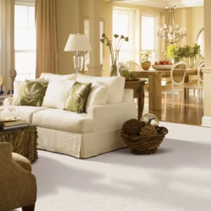 Living room carpet | Myers Flooring of Nashville