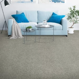 Soft Carpet flooring for living room | Myers Flooring of Nashville