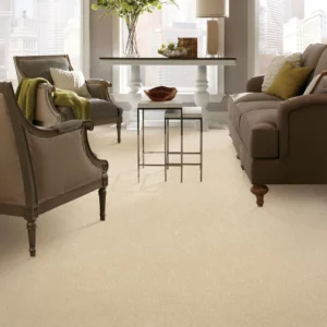 Living room carpet | Myers Flooring of Nashville